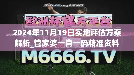 2024年11月19日实地评估方案解析_管家婆一肖一码精准资料_UQQ7.68.90冷静版