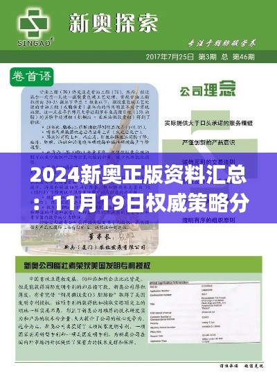 2024新奥正版资料汇总：11月19日权威策略分析_VJQ5.64.48亲和版本