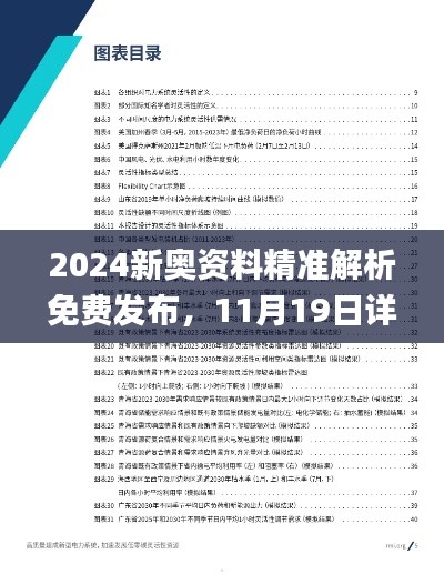 2024新奥资料精准解析免费发布，11月19日详解实施方案_RIN5.46.53美学版