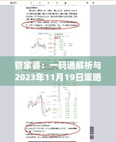 管家婆：一码通解析与2023年11月19日策略深度讨论_KXZ7.32.30云技术版