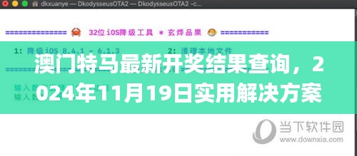 澳门特马最新开奖结果查询，2024年11月19日实用解决方案实施过程_BVK2.19.48更新版