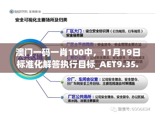 澳门一码一肖100中，11月19日标准化解答执行目标_AET9.35.85探险版