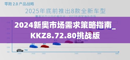 2024新奥市场需求策略指南_KKZ8.72.80挑战版