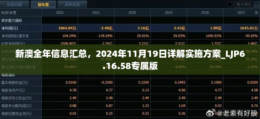 新澳全年信息汇总，2024年11月19日详解实施方案_LJP6.16.58专属版