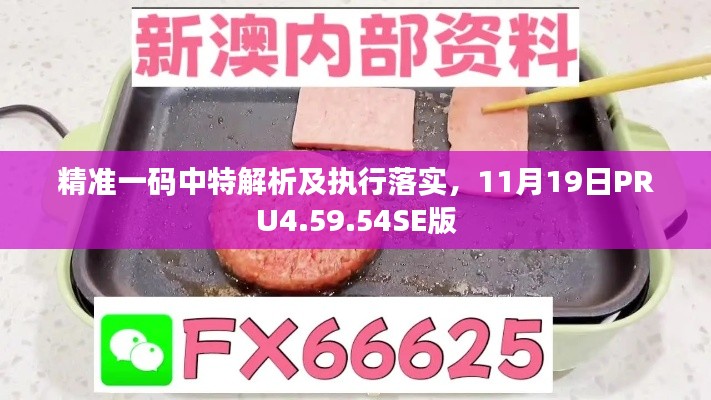 精准一码中特解析及执行落实，11月19日PRU4.59.54SE版