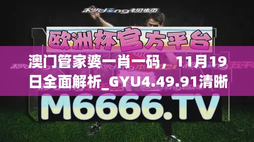 澳门管家婆一肖一码，11月19日全面解析_GYU4.49.91清晰版