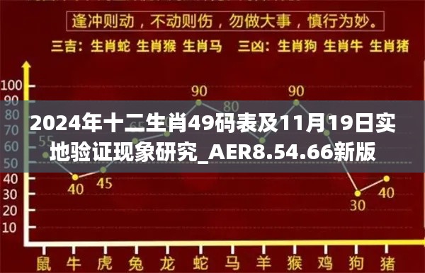 2024年十二生肖49码表及11月19日实地验证现象研究_AER8.54.66新版