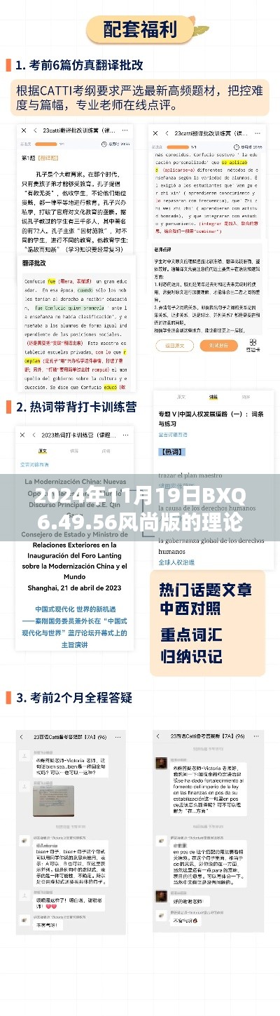 2024年11月19日BXQ6.49.56风尚版的理论分析与解答路径