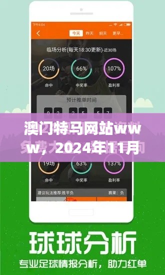 澳门特马网站www，2024年11月19日KZL2.37.21详细解读与实施清晰版