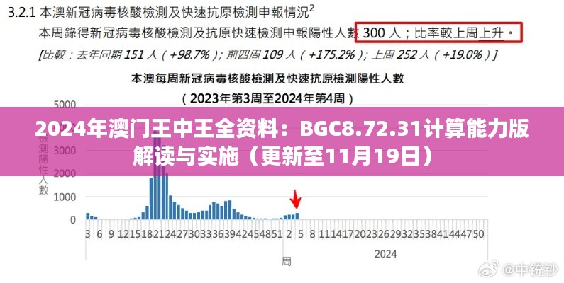 2024年澳门王中王全资料：BGC8.72.31计算能力版解读与实施（更新至11月19日）