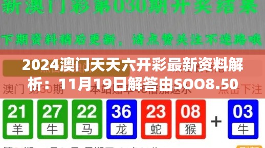 2024澳门天天六开彩最新资料解析：11月19日解答由SOO8.50.22提供