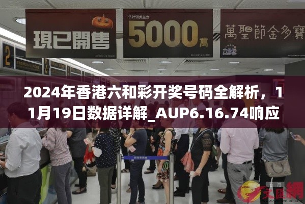 2024年香港六和彩开奖号码全解析，11月19日数据详解_AUP6.16.74响应版