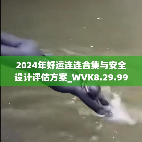 2024年好运连连合集与安全设计评估方案_WVK8.29.99灵动版