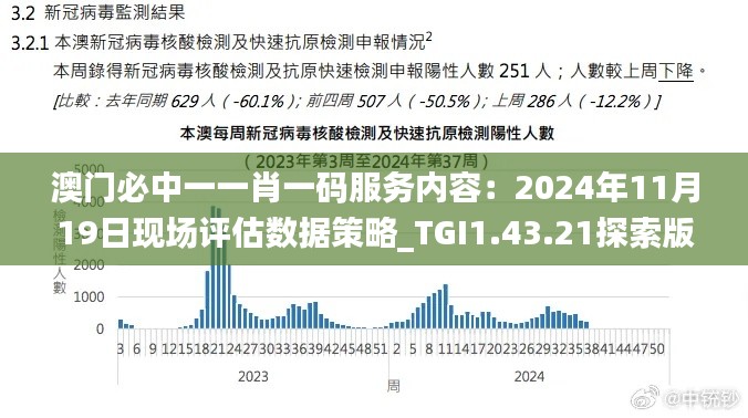 澳门必中一一肖一码服务内容：2024年11月19日现场评估数据策略_TGI1.43.21探索版