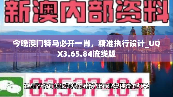 今晚澳门特马必开一肖，精准执行设计_UQX3.65.84流线版