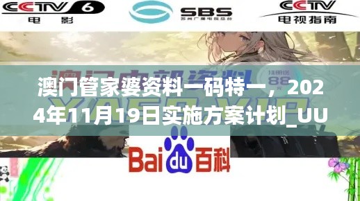 澳门管家婆资料一码特一，2024年11月19日实施方案计划_UUI8.11.88投影版