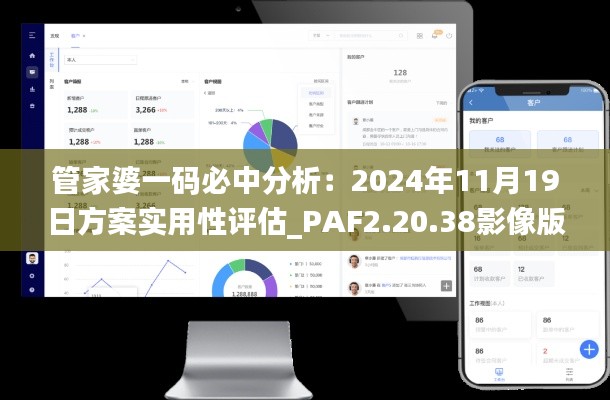 管家婆一码必中分析：2024年11月19日方案实用性评估_PAF2.20.38影像版