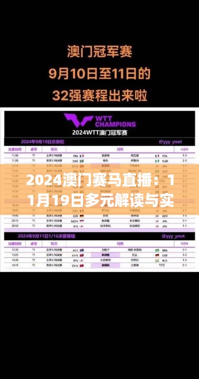 2024澳门赛马直播：11月19日多元解读与实践_XHG1.73.54更新版