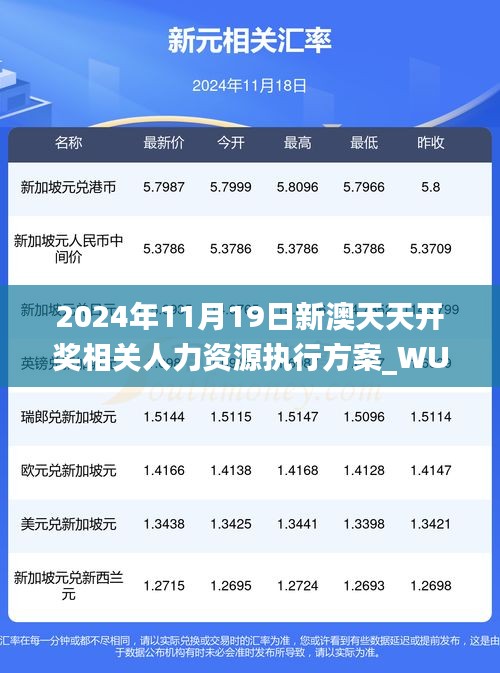 2024年11月19日新澳天天开奖相关人力资源执行方案_WUC8.58.75管理版