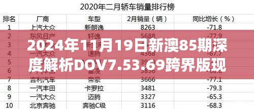 2024年11月19日新澳85期深度解析DOV7.53.69跨界版现象