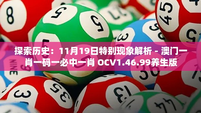 探索历史：11月19日特别现象解析 - 澳门一肖一码一必中一肖 OCV1.46.99养生版