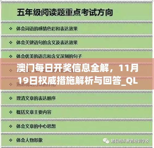 澳门每日开奖信息全解，11月19日权威措施解析与回答_QLC7.67.67互动版