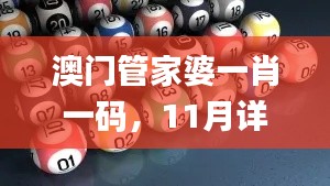 澳门管家婆一肖一码，11月详细设计与执行计划_HML4.68.58全球版