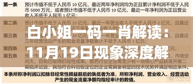 白小姐一码一肖解读：11月19日现象深度解析_EOJ6.57.74品味版