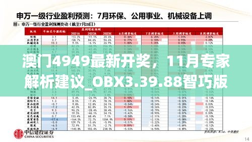 澳门4949最新开奖，11月专家解析建议_OBX3.39.88智巧版