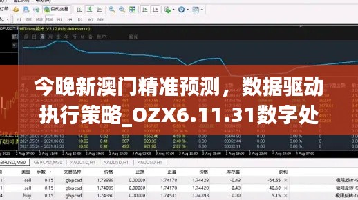 今晚新澳门精准预测，数据驱动执行策略_OZX6.11.31数字处理版