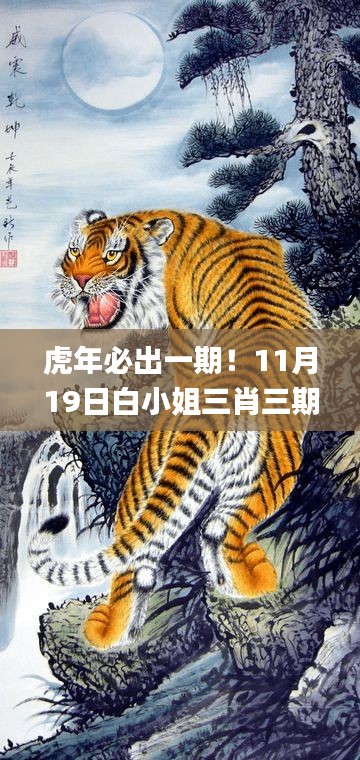 虎年必出一期！11月19日白小姐三肖三期开奖巩固落实解读_TAK1.37.95黑科技版