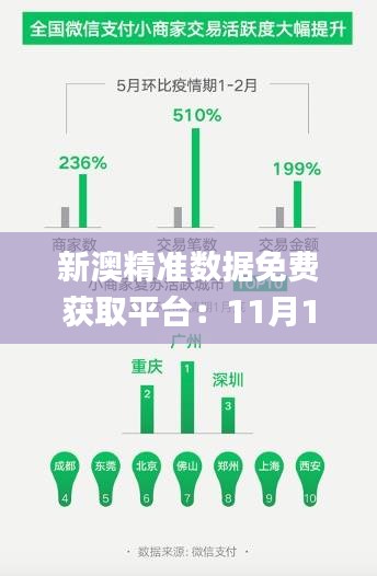 新澳精准数据免费获取平台：11月19日深度解析数据应用_CBG5.35.25直观版