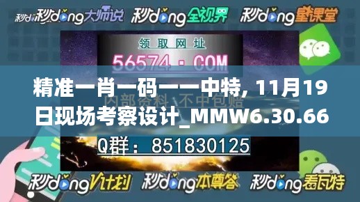 精准一肖一码一一中特, 11月19日现场考察设计_MMW6.30.66更新版