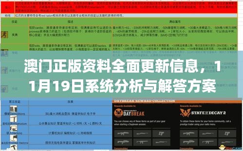 澳门正版资料全面更新信息，11月19日系统分析与解答方案_TFF4.44.66流线型版本