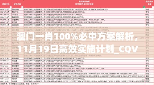 澳门一肖100%必中方案解析，11月19日高效实施计划_CQV1.25.73敏捷版