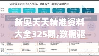 新奥天天精准资料大全325期,数据驱动设计策略_ODE1.15.74高端体验版