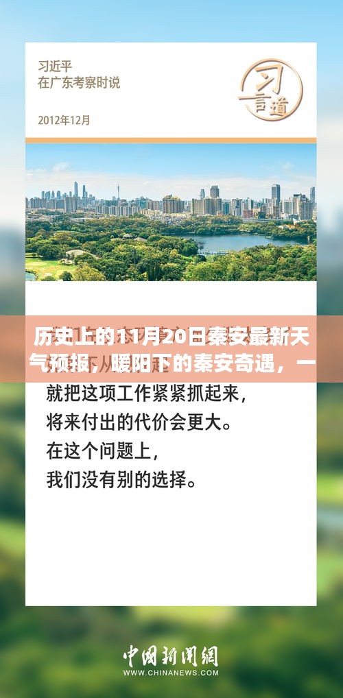 暖阳下的秦安奇遇，历史天气预报与友情的温馨故事