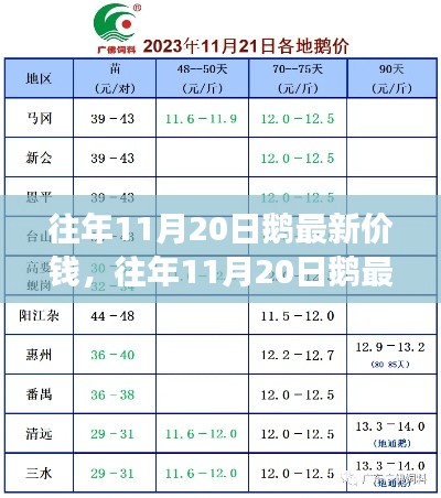 往年11月20日鹅价深度解析，市场走势、最新价格及观点分享