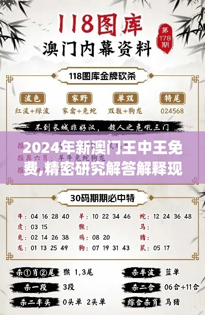 2024年新澳门王中王免费,精密研究解答解释现象_ZEK3.66.65活力版