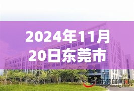 2024年11月20日东莞市电子厂最新招聘，东莞市电子厂新篇章，2024年11月20日的人才盛宴与产业新纪元