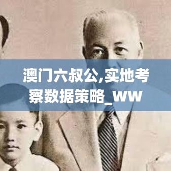 澳门六叔公,实地考察数据策略_WWO8.53.51活力版