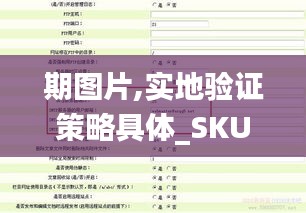 期图片,实地验证策略具体_SKU4.43.25时刻版