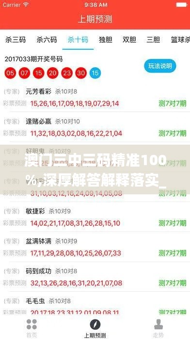 澳门三中三码精准100%,深厚解答解释落实_REH1.38.26精致生活版