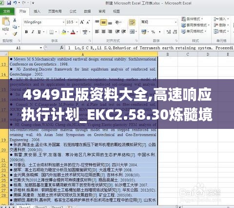 4949正版资料大全,高速响应执行计划_EKC2.58.30炼髓境