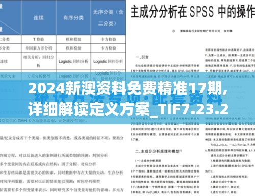 2024新澳资料免费精准17期,详细解读定义方案_TIF7.23.28世界版