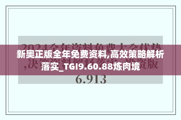 新奥正版全年免费资料,高效策略解析落实_TGI9.60.88炼肉境