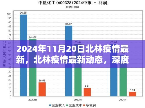 2024年11月20日北林疫情最新，北林疫情最新动态，深度解析2024年11月20日疫情现状