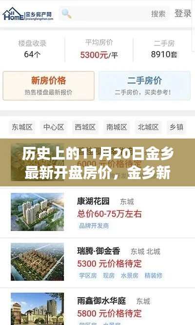 历史上的11月20日金乡最新开盘房价，金乡新篇章，一个关于家园与友情的温馨故事