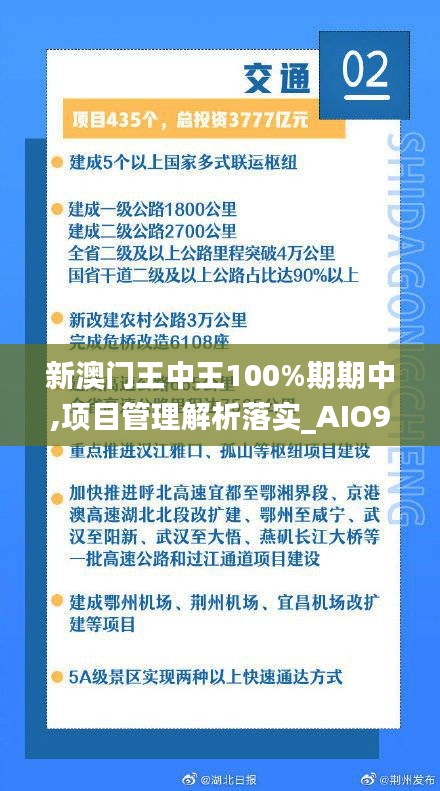 新澳门王中王100%期期中,项目管理解析落实_AIO9.63.53零售版