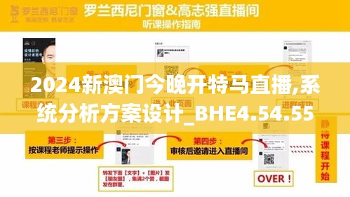 2024新澳门今晚开特马直播,系统分析方案设计_BHE4.54.55别致版